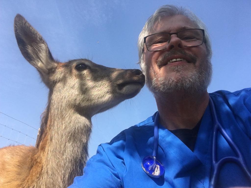 Tandheelkunde Dieren