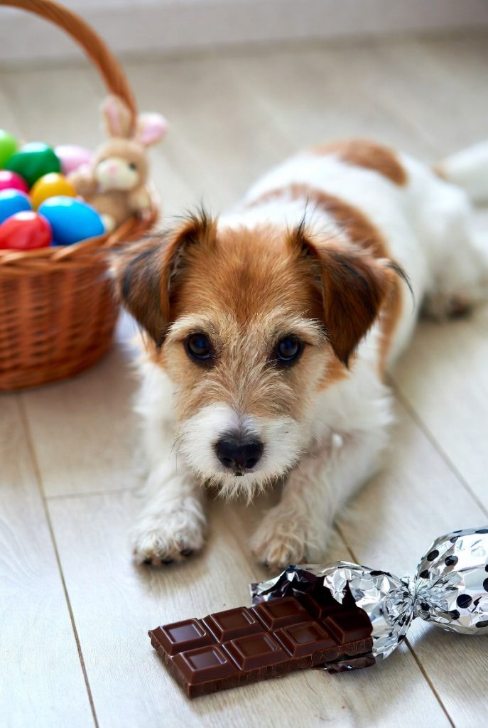 Pasen met Hond (Chocolade)