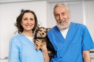 Twee dierenartsen houden samen een kleine hond vast in de kliniek