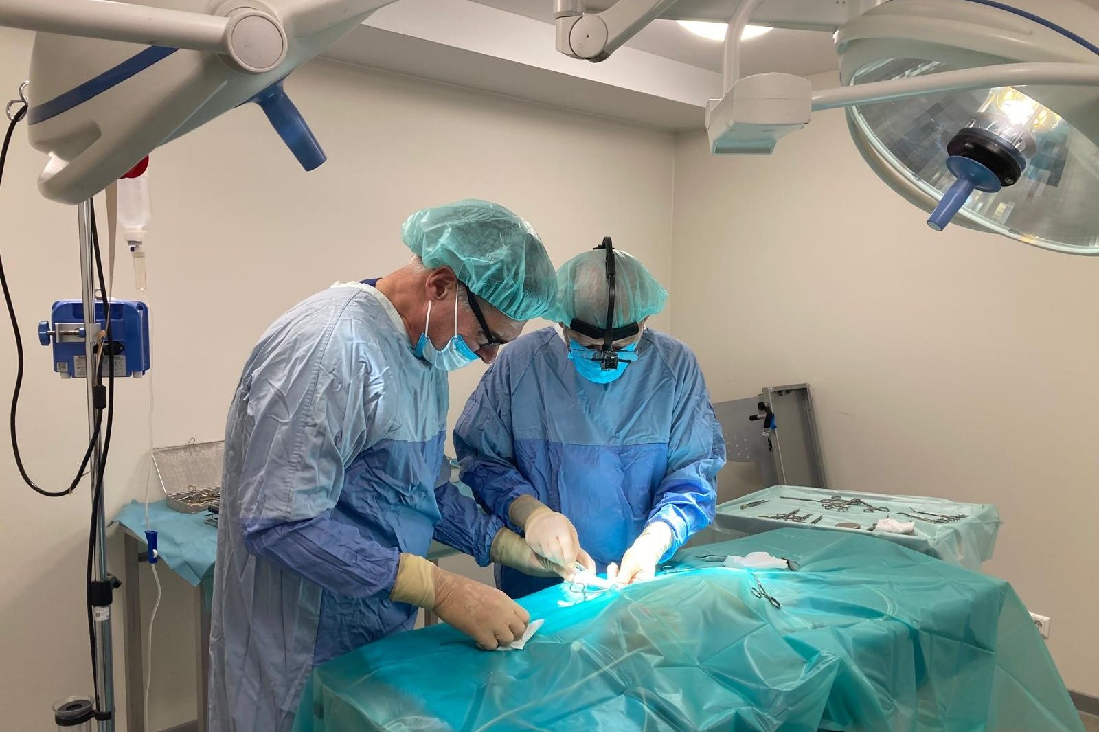 Twee dierenartsen opereren een patiënt in de operatiekamer van Dierenkliniek Utrechtse Heuvelrug
