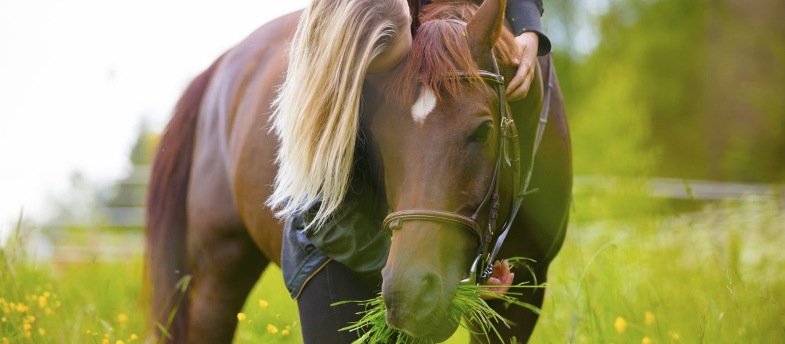 Paard inenten: kosten, bijwerkingen